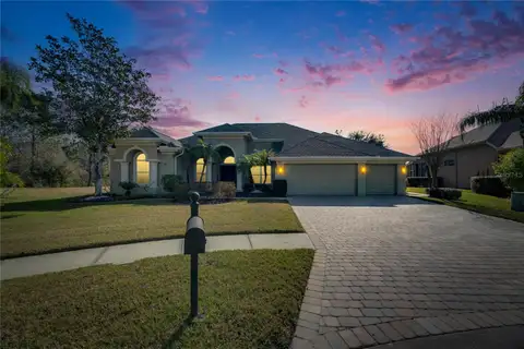3852 SORREL VINE DR — home for sale